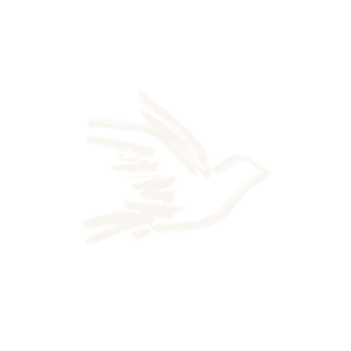 Bird illustration