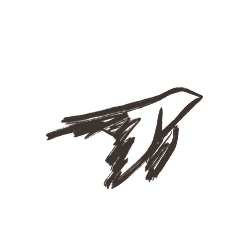 Bird illustration