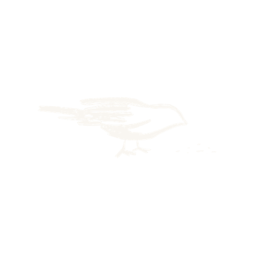 Bird illustration eating seed