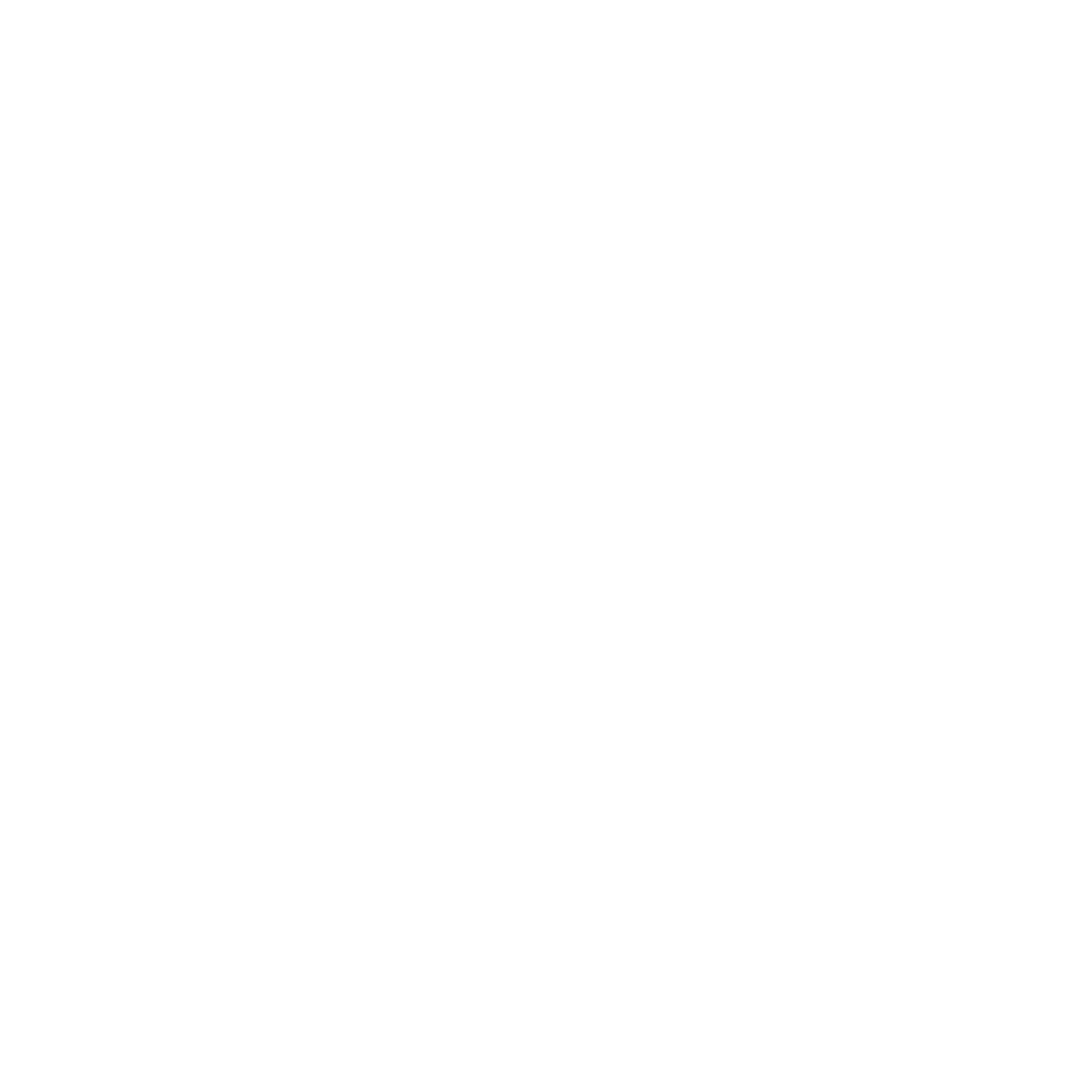 The North Face Logo