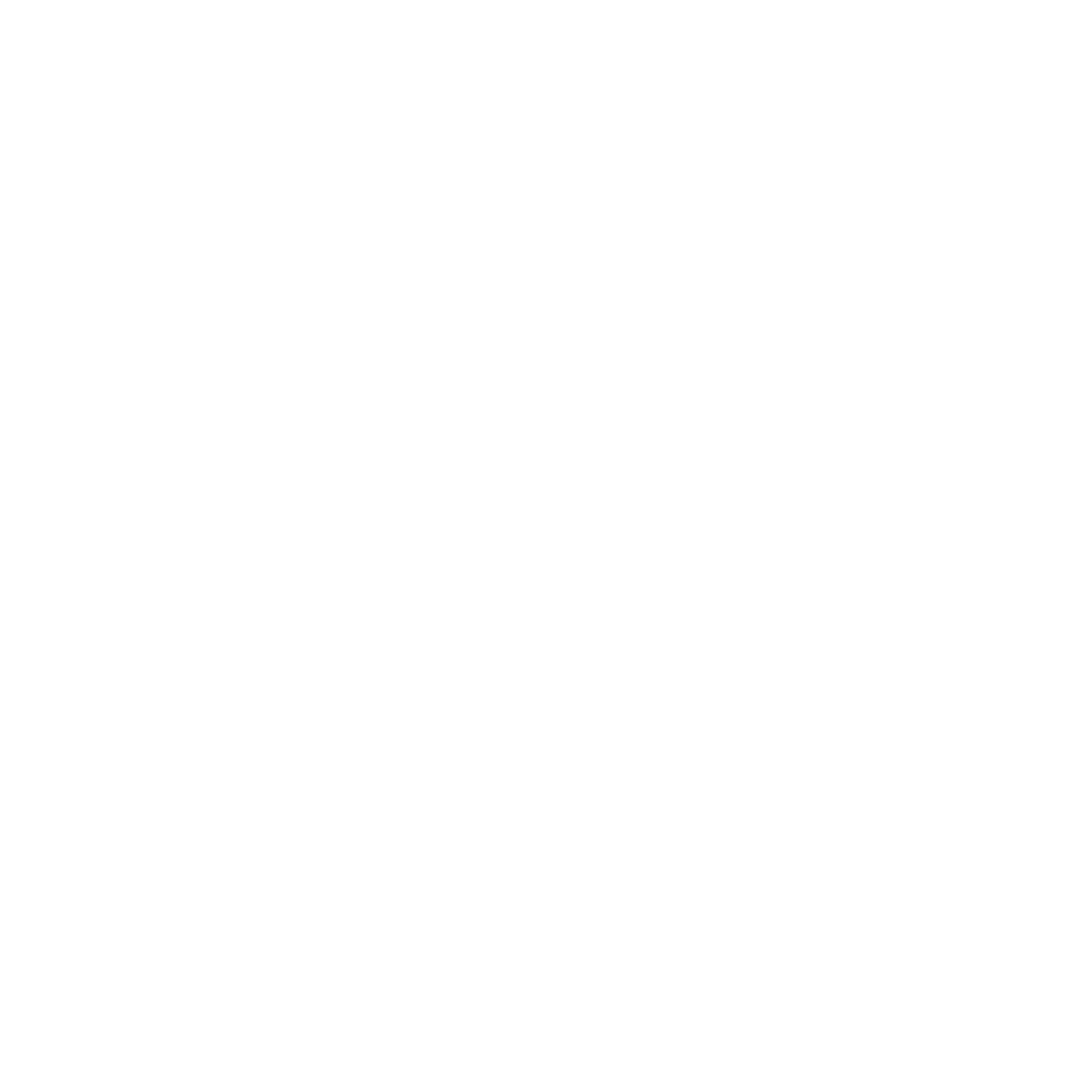patagonia logo