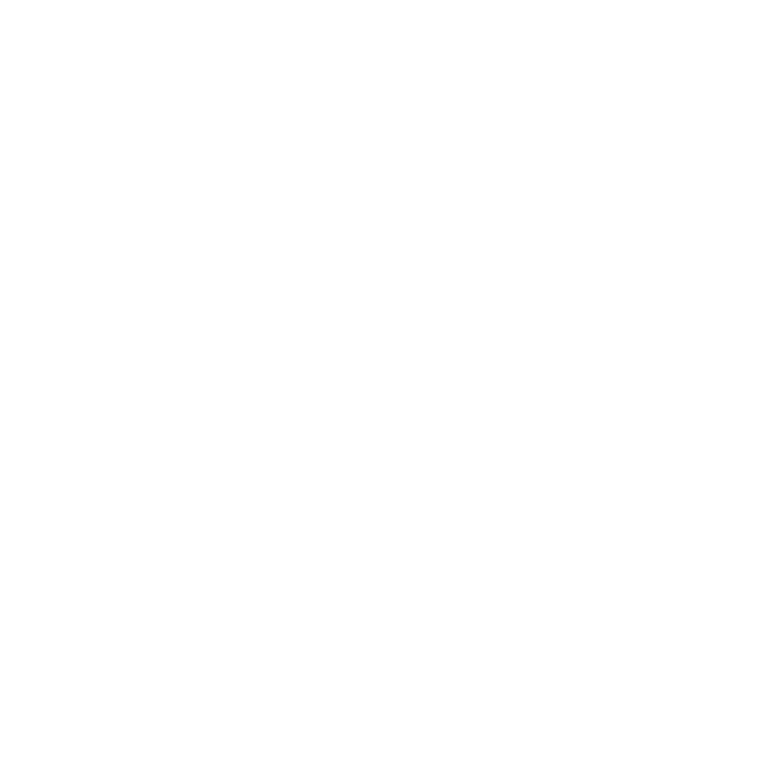 Vera Bradley Logo