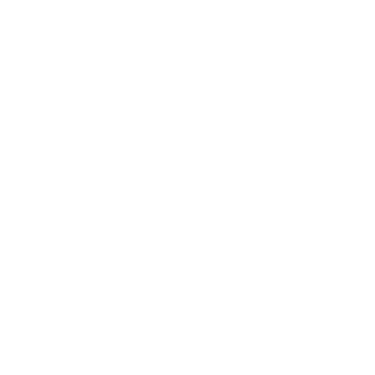 Metron Logo