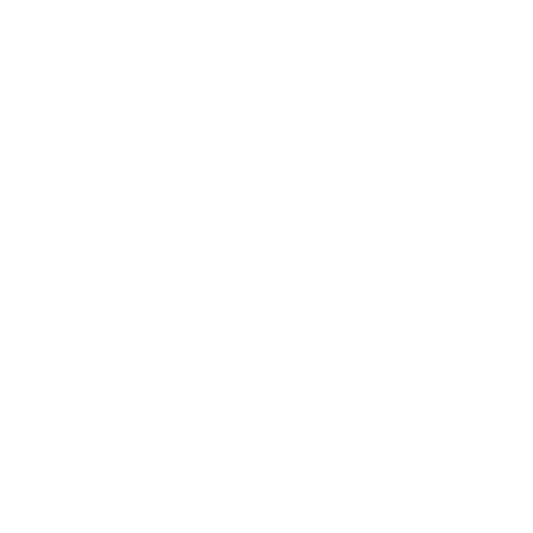 Diva and Dude Logo
