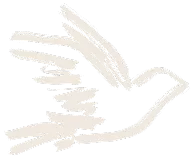 Individual Birds-1 2
