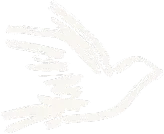 Individual Birds-1 5