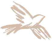 Individual Birds-3 6