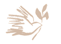 bird_w_branch